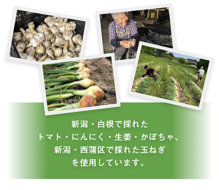 新潟・白根で採れたトマト・にんにく・生姜・かぼちゃ、新潟・西蒲区で採れた玉ねぎを使用しています。